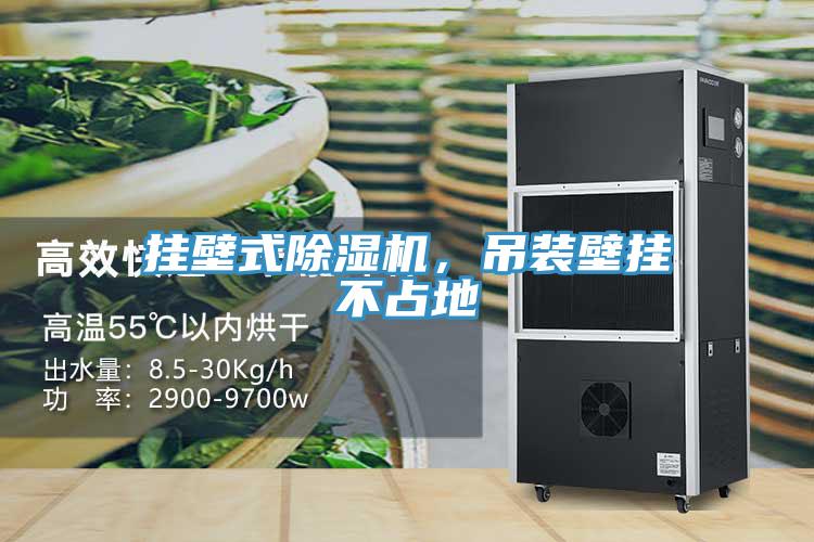 掛壁式除濕機(jī),吊裝壁掛不占地