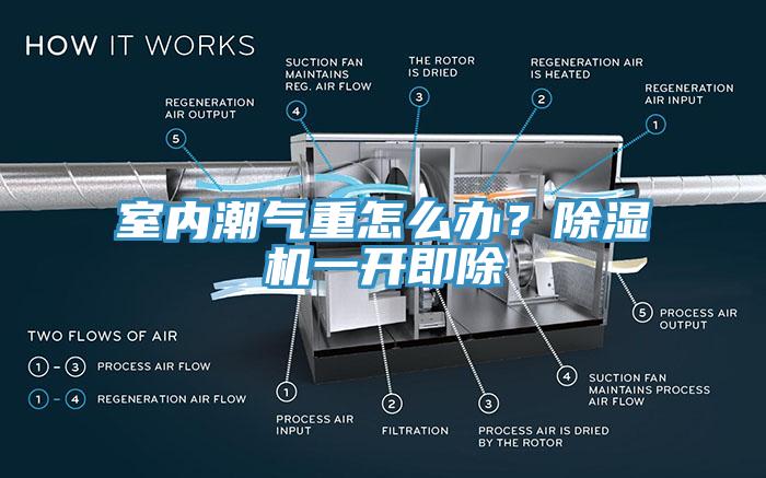 室內潮氣重怎么辦？除濕機一開即除