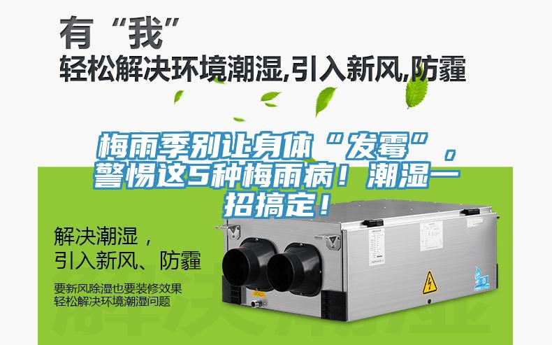 梅雨季別讓身體“發(fā)霉”，警惕這5種梅雨病！潮濕一招搞定！