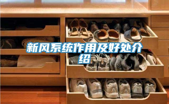 新風系統作用及好處介紹