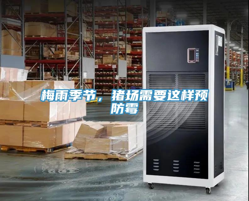 梅雨季節,豬場需要這樣預防霉
