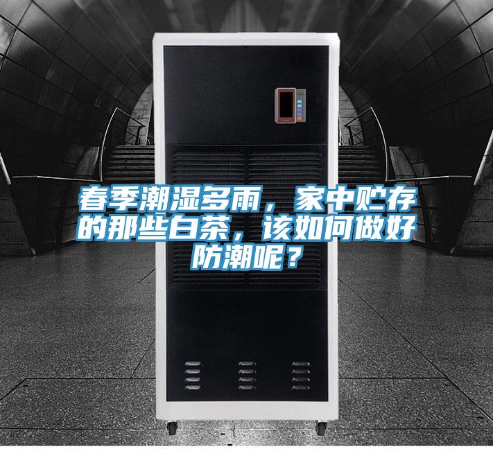 春季潮濕多雨，家中貯存的那些白茶，該如何做好防潮呢？
