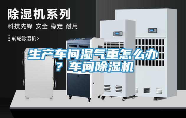 生產車間濕氣重怎么辦？車間除濕機