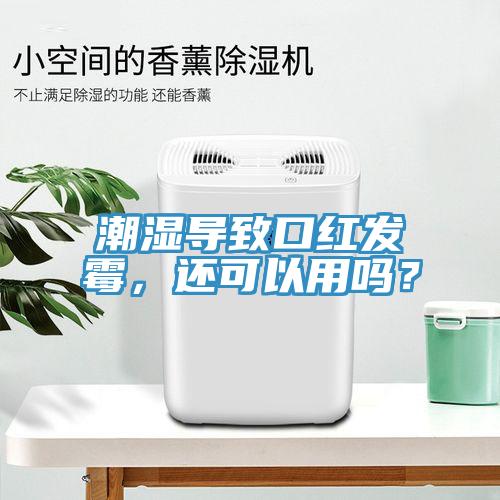 潮濕導致口紅發霉，還可以用嗎？