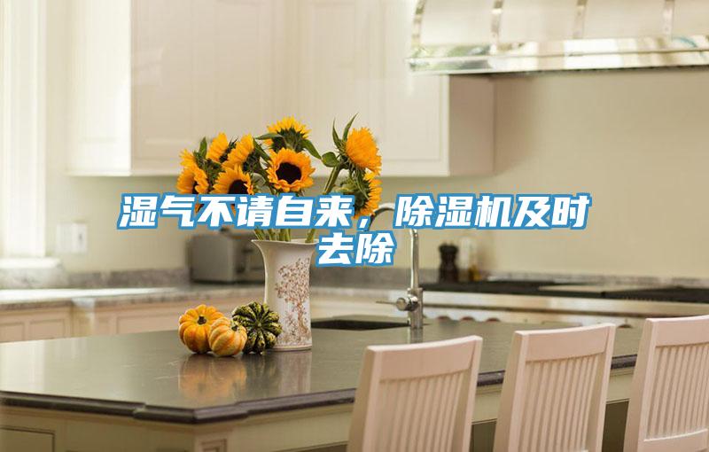 濕氣不請(qǐng)自來(lái)，除濕機(jī)及時(shí)去除