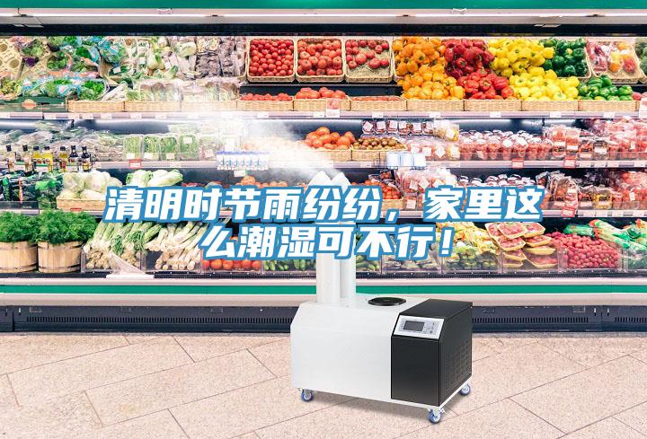 清明時節雨紛紛，家里這么潮濕可不行！