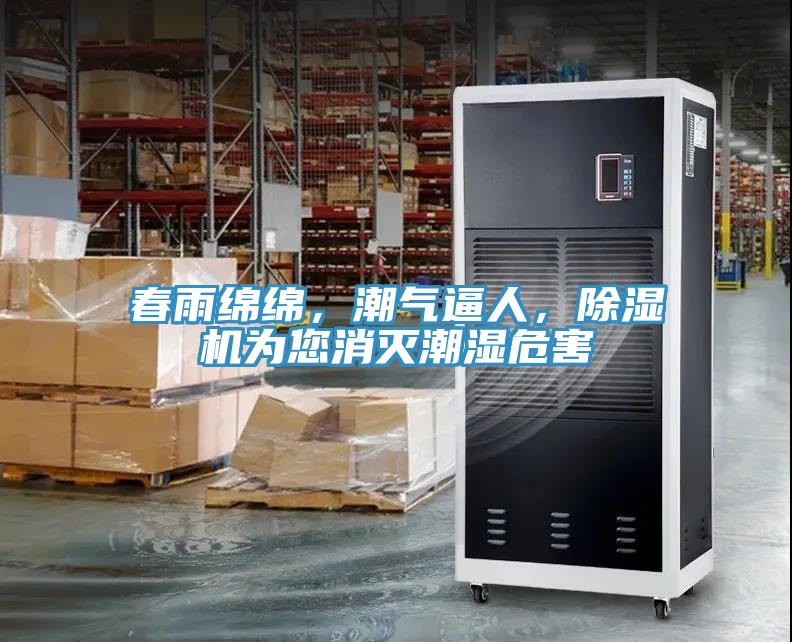 春雨綿綿，潮氣逼人，除濕機為您消滅潮濕危害