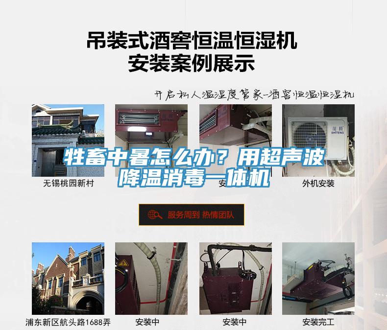牲畜中暑怎么辦？用超聲波降溫消毒一體機(jī)