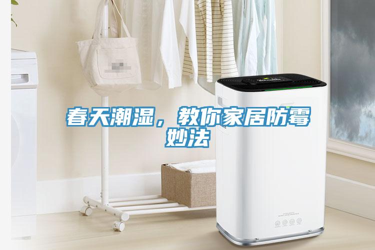春天潮濕，教你家居防霉妙法
