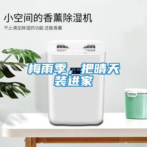 梅雨季，把晴天裝進家