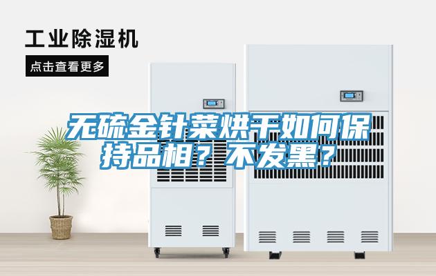 無硫金針菜烘干如何保持品相?不發黑?