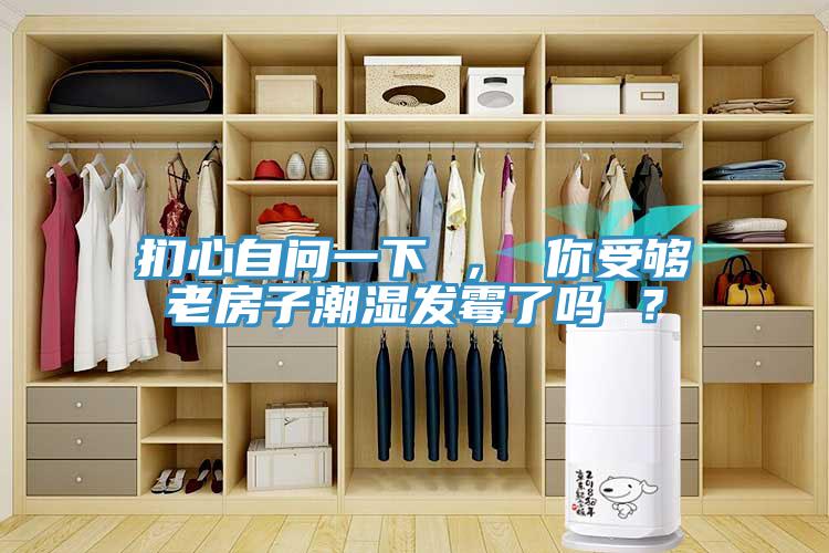 捫心自問一下 , 你受夠老房子潮濕發霉了嗎 ?