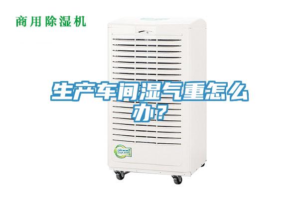 生產(chǎn)車間濕氣重怎么辦?