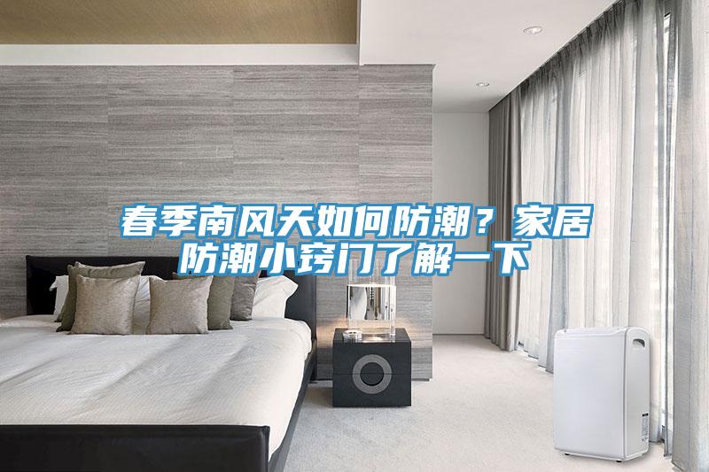 春季南風天如何防潮？家居防潮小竅門了解一下