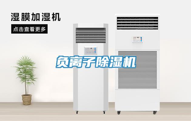負離子除濕機