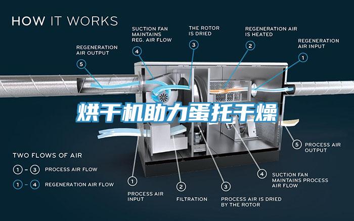 烘干機助力蛋托干燥