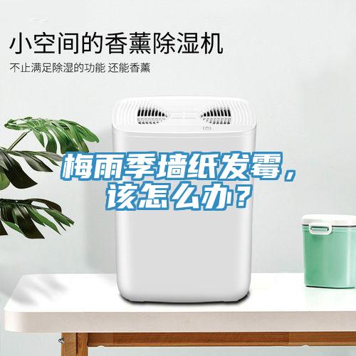 梅雨季墻紙發(fā)霉，該怎么辦？