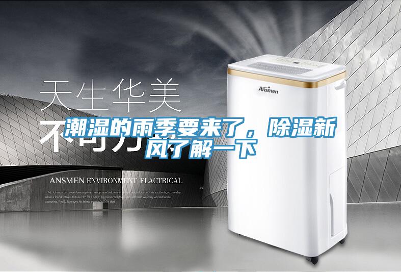 潮濕的雨季要來了，除濕新風了解一下