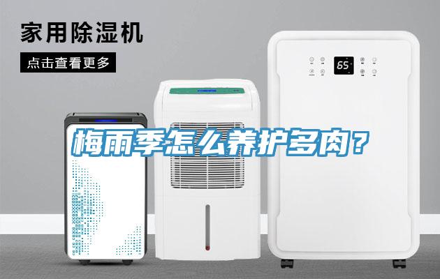 梅雨季怎么養護多肉?