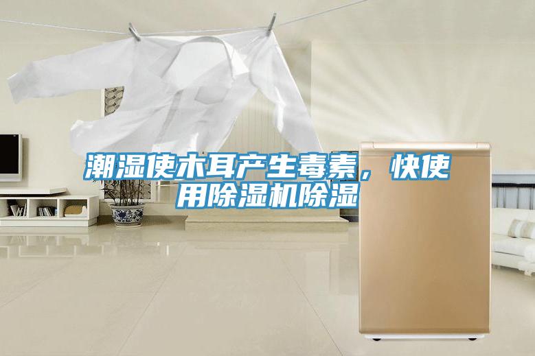 潮濕使木耳產生毒素，快使用除濕機除濕