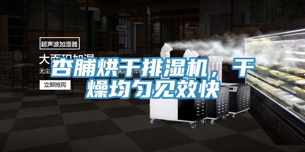 杏脯烘干排濕機(jī)，干燥均勻見效快