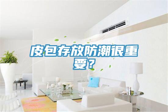 皮包存放防潮很重要？