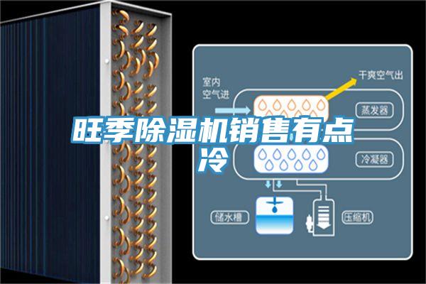 旺季除濕機銷售有點冷