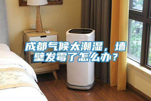 成都氣候太潮濕，墻壁發霉了怎么辦？