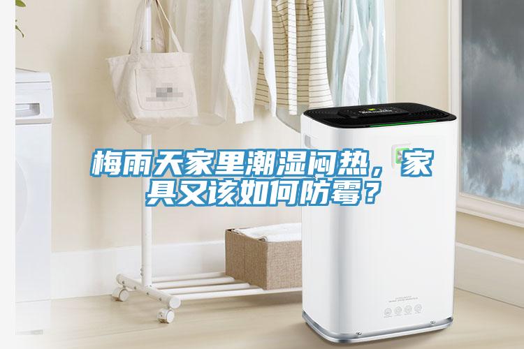 梅雨天家里潮濕悶熱，家具又該如何防霉？