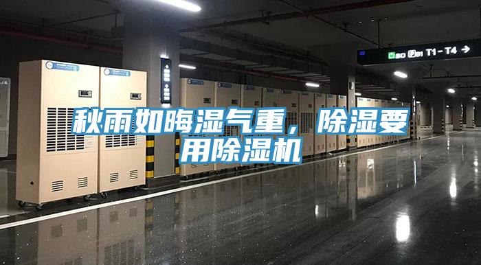 秋雨如晦濕氣重,除濕要用除濕機