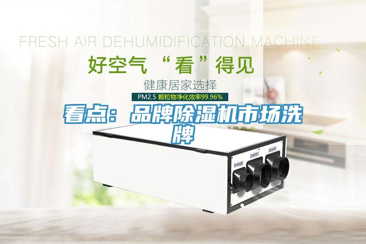 看點：品牌除濕機市場洗牌