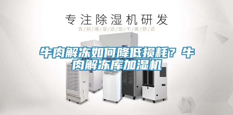 牛肉解凍如何降低損耗？牛肉解凍庫(kù)加濕機(jī)