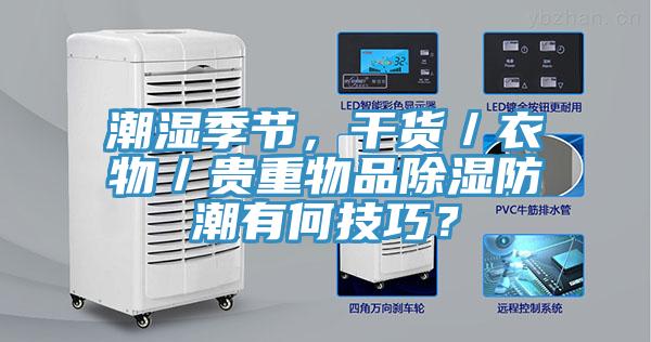 潮濕季節，干貨／衣物／貴重物品除濕防潮有何技巧？