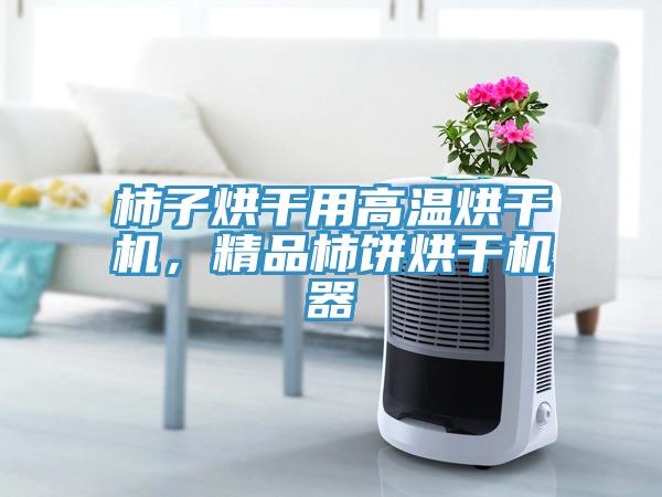 柿子烘干用高溫烘干機(jī)，精品柿餅烘干機(jī)器