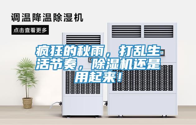 瘋狂的秋雨，打亂生活節奏，除濕機還是用起來！
