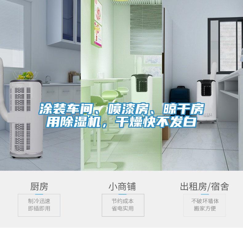涂裝車間、噴漆房、晾干房用除濕機(jī)，干燥快不發(fā)白