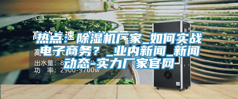 熱點(diǎn)：除濕機(jī)廠家_如何實(shí)戰(zhàn)電子商務(wù)？_業(yè)內(nèi)新聞_新聞動(dòng)態(tài)-實(shí)力廠家官網(wǎng)