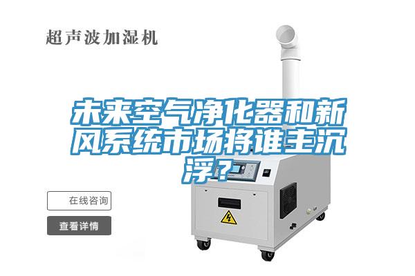 未來空氣凈化器和新風(fēng)系統(tǒng)市場(chǎng)將誰主沉浮？