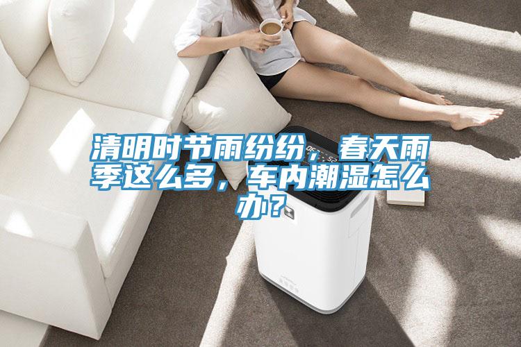 清明時(shí)節(jié)雨紛紛，春天雨季這么多，車(chē)內(nèi)潮濕怎么辦？