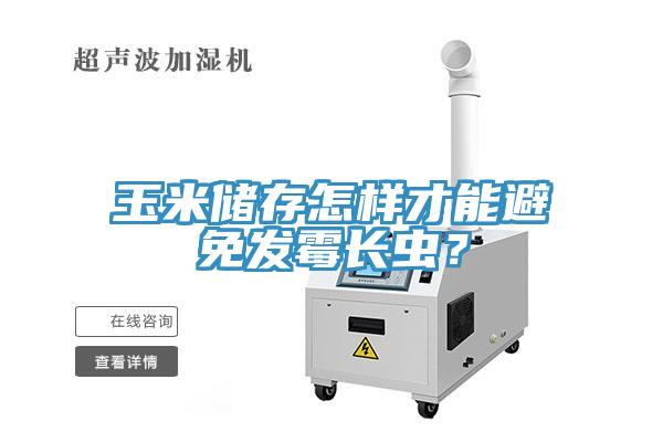 玉米儲(chǔ)存怎樣才能避免發(fā)霉長(zhǎng)蟲(chóng)？