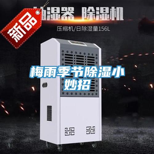 梅雨季節除濕小妙招