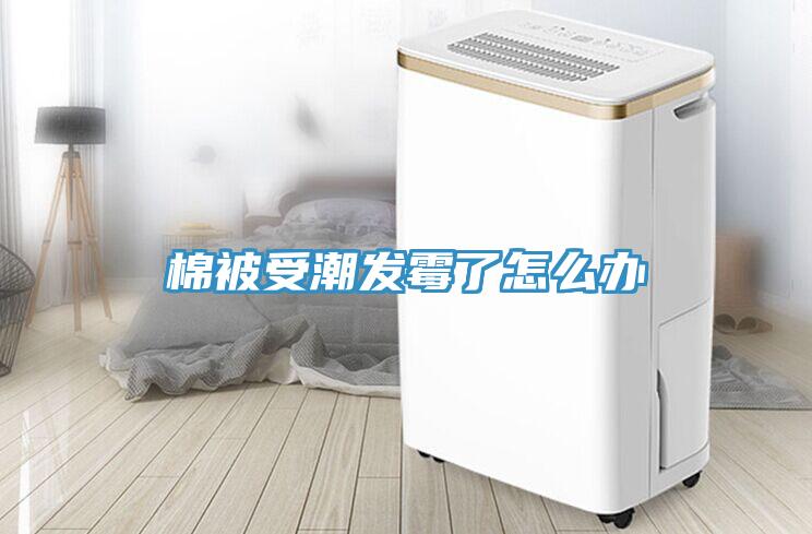 棉被受潮發霉了怎么辦