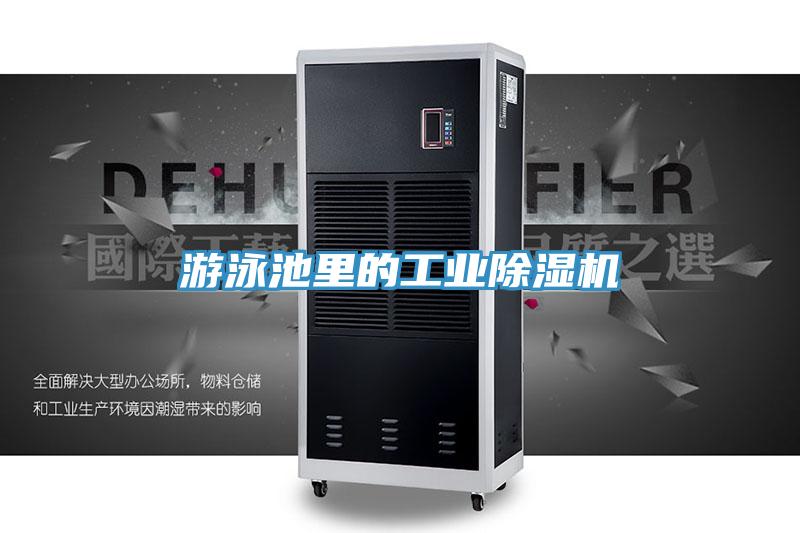 游泳池里的工業(yè)除濕機(jī)