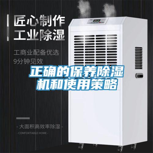 正確的保養除濕機和使用策略