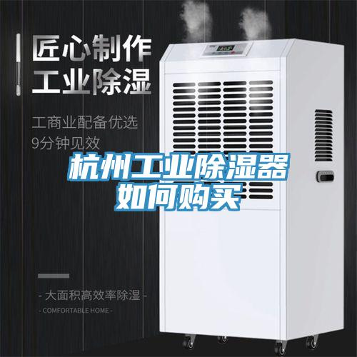 杭州工業(yè)除濕器如何購買