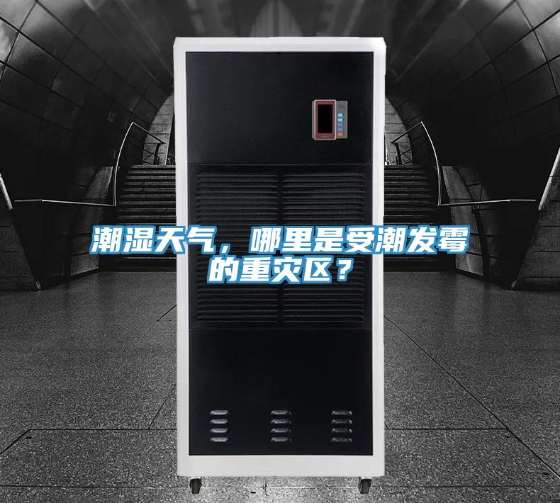 潮濕天氣，哪里是受潮發霉的重災區？
