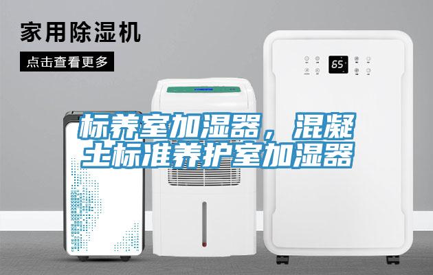標養(yǎng)室加濕器，混凝土標準養(yǎng)護室加濕器