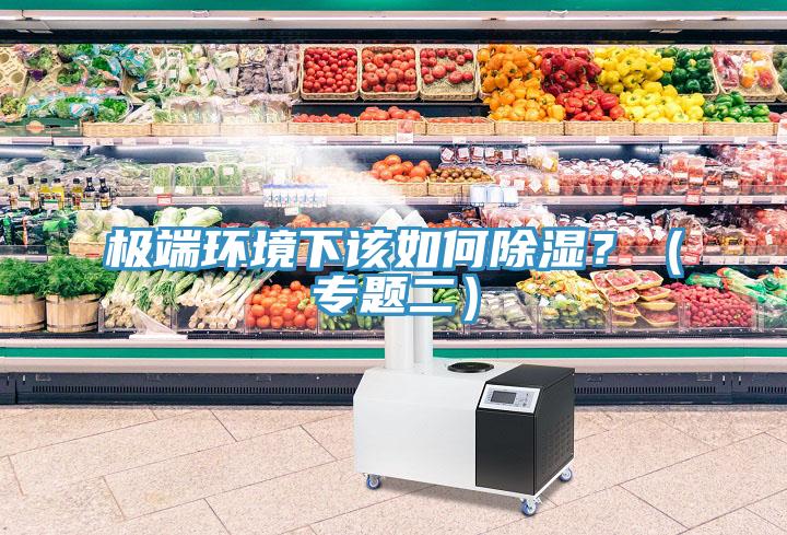 極端環(huán)境下該如何除濕?(專題二)