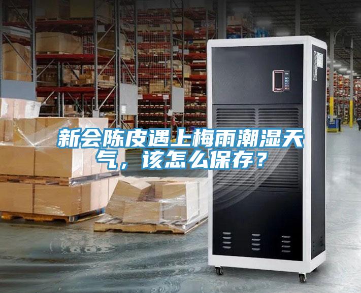新會陳皮遇上梅雨潮濕天氣，該怎么保存？