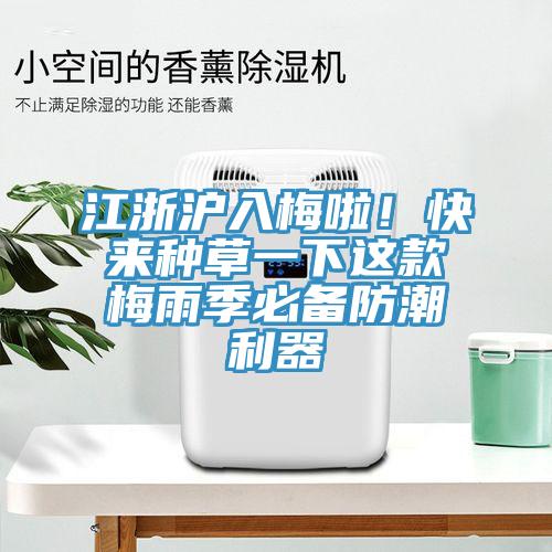 江浙滬入梅啦！快來種草一下這款梅雨季必備防潮利器